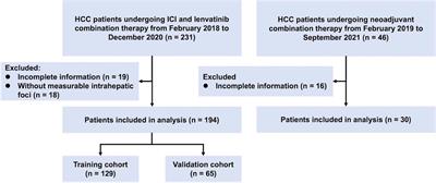 Circulating immune index predicting the prognosis of patients with hepatocellular carcinoma treated with lenvatinib and immunotherapy